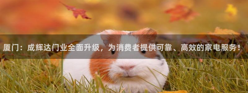 500彩票网f凯捷注册：厦门：成辉达门业全面升级，为消费者提供可靠、高效的家电服