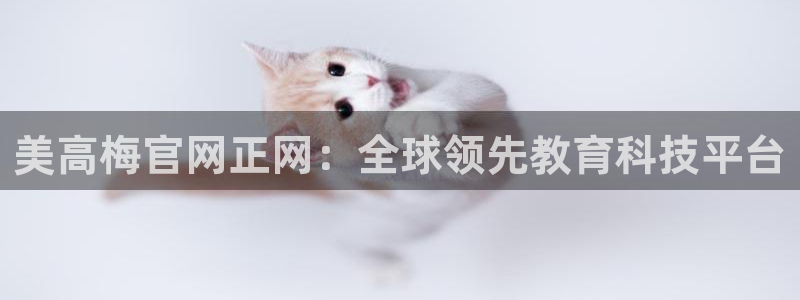 500彩票网登录注册：美高梅官网正网：全球领先教育科技平台