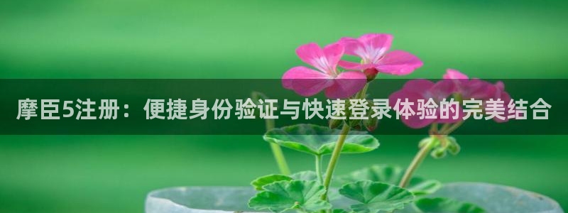 500彩票网体育1招商：摩臣5注册：便捷身份验证与快速登录体验的完美结合