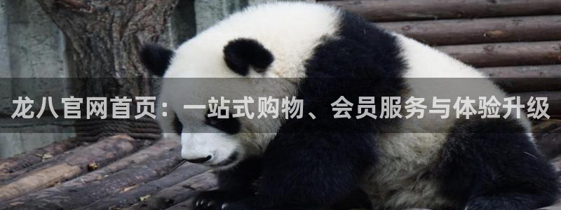 500彩票网体育代理：龙八官网首页：一站式购物、会员服务与体验升级