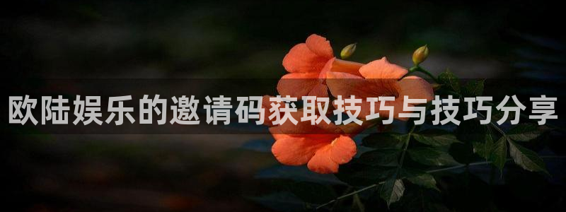 500彩票网vk：欧陆娱乐的邀请码获取技巧与技巧分享