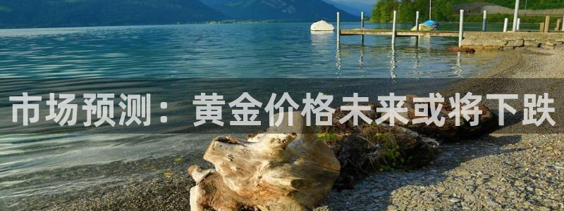 500彩票网：市场预测：黄金价格未来或将下跌