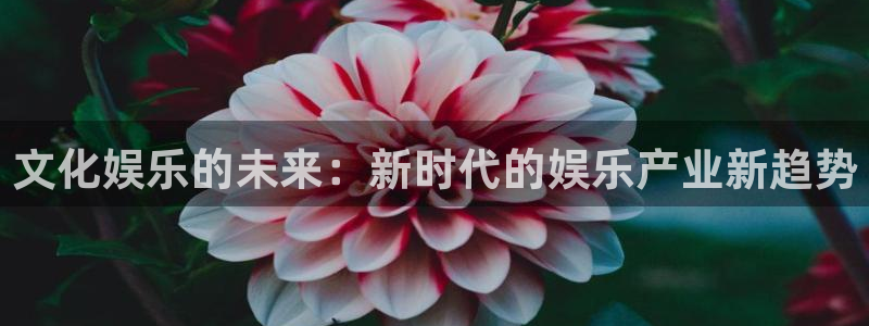 500彩票网主管：文化娱乐的未来：新时代的娱乐产业新趋势