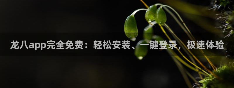500彩票网3注册：龙八app完全免费：轻松安装、一键登录，极速体验