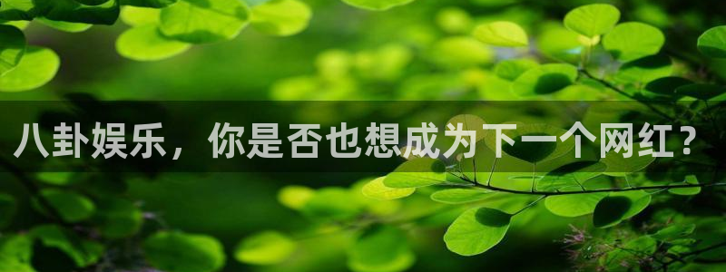 500彩票网登录界面入口：八卦娱乐，你是否也想成为下一个网红？