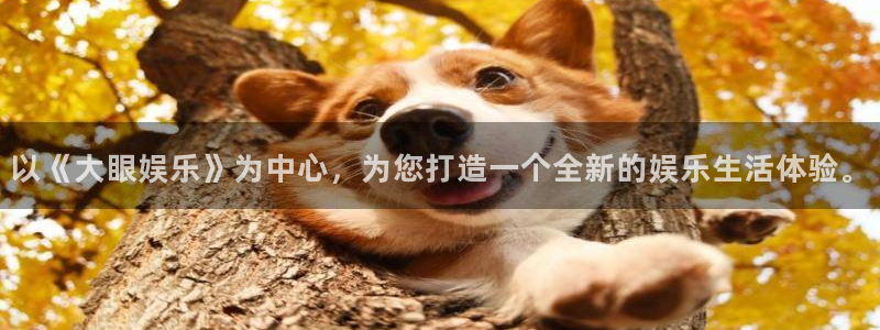 500彩票网4：以《大眼娱乐》为中心，为您打造一个全新的娱乐生活体验。