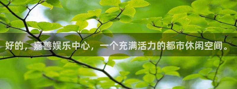 500彩票网4平台：好的，嘉善娱乐中心，一个充满活力的都市休闲空间。