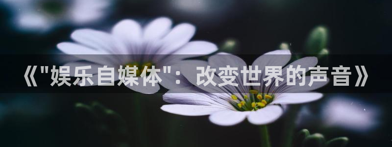 500彩票网体育：《\