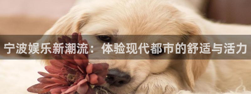 500彩票网平台开户链接：宁波娱乐新潮流：体验现代都市的舒适与活力