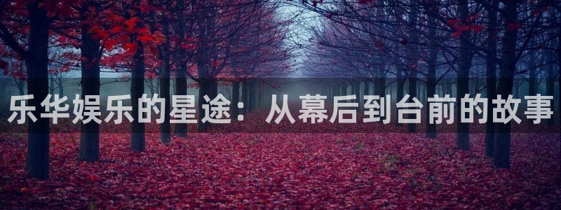 500彩票网vk：乐华娱乐的星途：从幕后到台前的故事