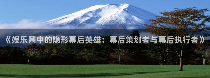 成都500彩票网电子有限公司：《娱乐圈中的隐形幕后英雄：幕后策划者与幕后执行者》