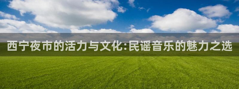 500彩票网4代理：西宁夜市的活力与文化:民谣音乐的魅力之选