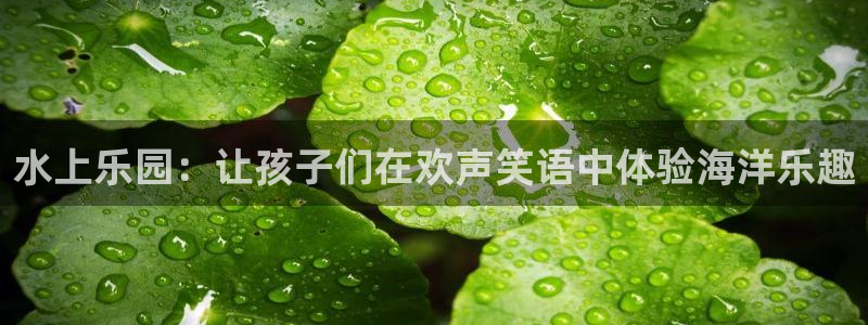 500彩票网体育平台开号链接：水上乐园：让孩子们在欢声笑语中体验海洋乐趣