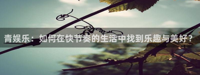 500彩票网代理注册官网入口：青娱乐：如何在快节奏的生活中找到乐趣与美好？